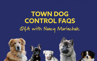 Meet Nancy Marinchak, the Town of Thompson NY Dog Control Officer