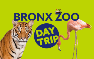 Thompson Youth Program travels to Bronx Zoo on July 21