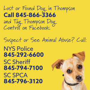 This graphic has the latest phone numbers as of April 2024 including the new Dog Warden Number