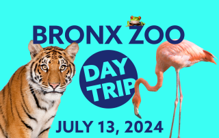 Bronx Zoo Trip