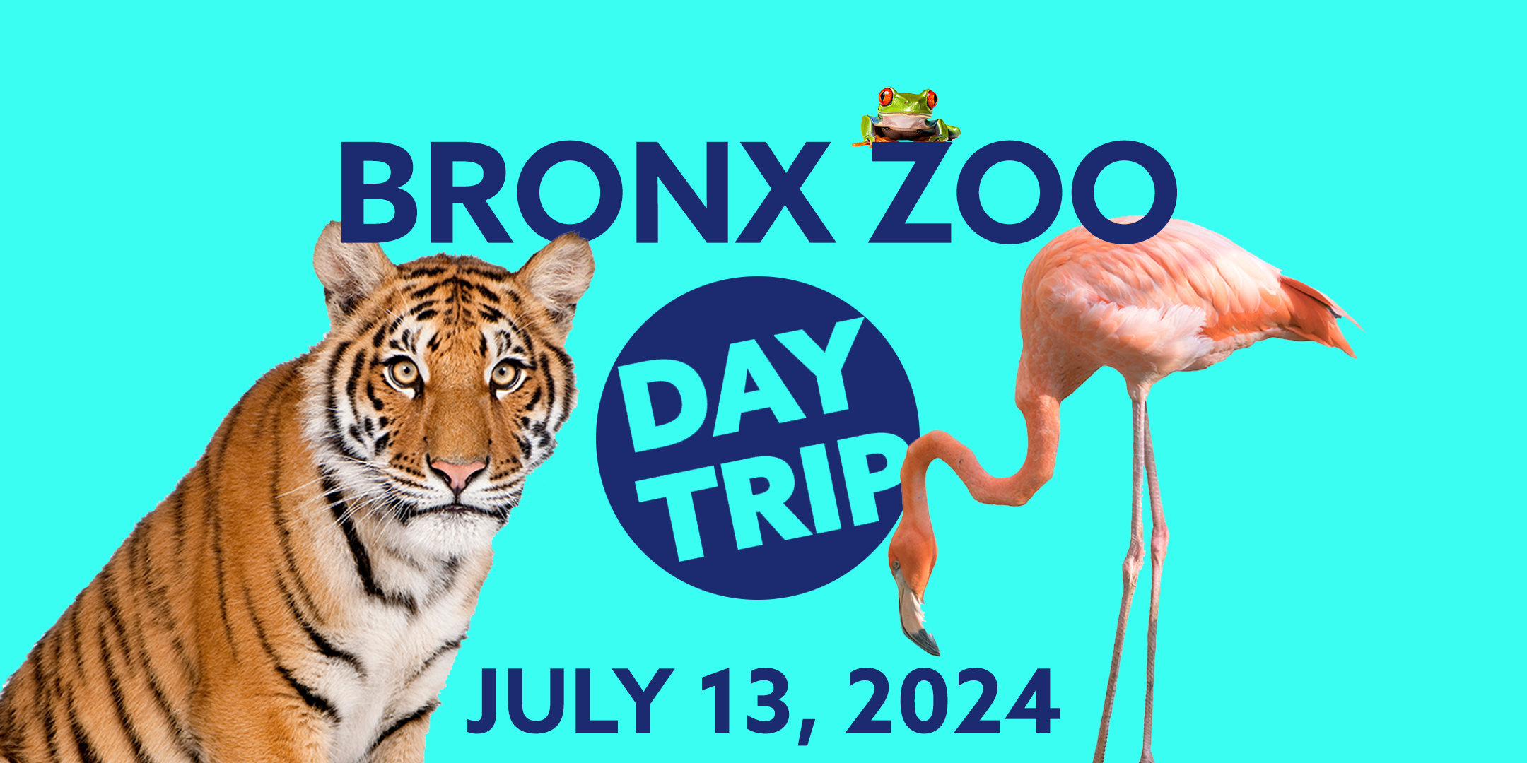 Bronx Zoo Trip